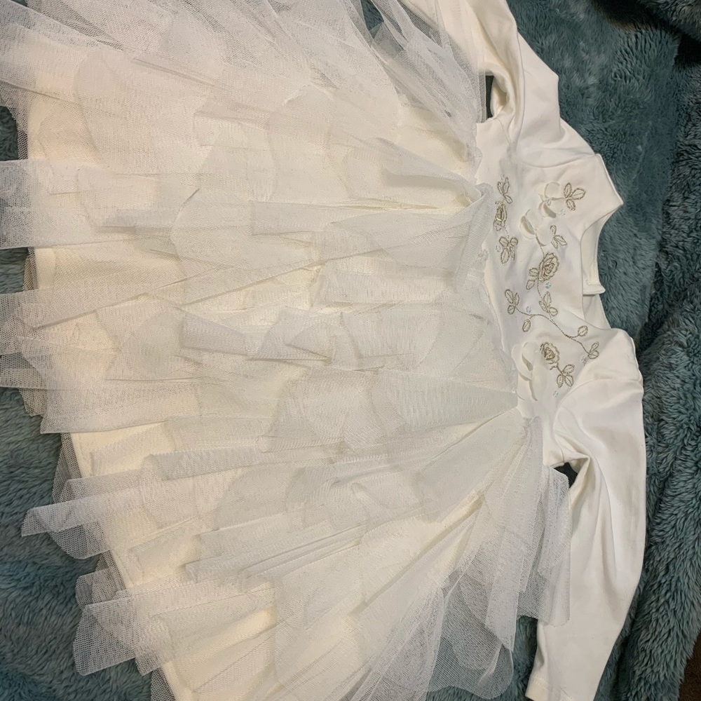 12 month Baby Biscotti Dress